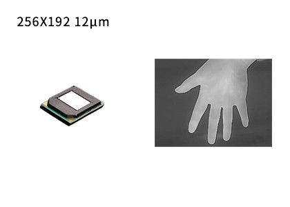 Tiny Size Uncooled Infrared Detector LWIR 256x192 / 12μm Thermal Imaging Detector