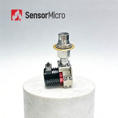 LWIR Cooled Infrared Detector with 320x256 Resolution and 30μm Pixel Size for SF6/NH3 Gas Leak Detection